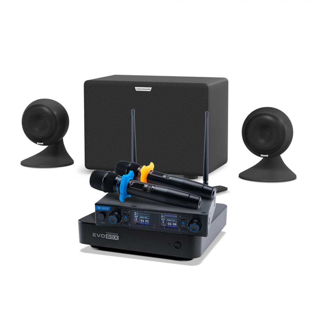 караоке-комплект EVOBOX + EvoSound Sphere 2.1 в Ртищево