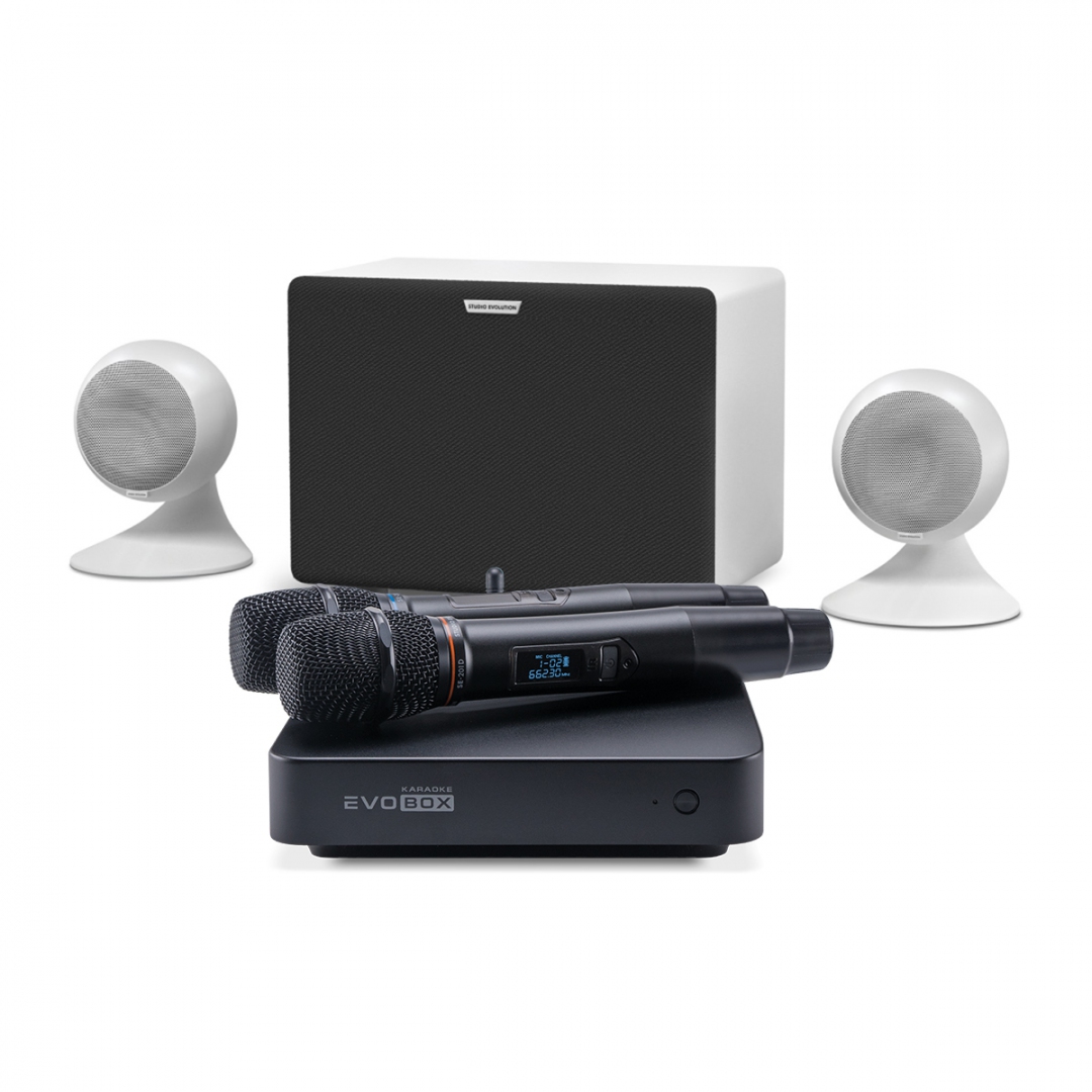 караоке-комплект EVOBOX Classic + EvoSound Sphere 2.1 в Ртищево