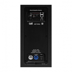 Активная акустическая система AST-310A в Ртищево