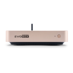 EVOBOX Classic караоке-система для дома в Ртищево