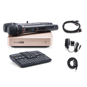 EVOBOX Classic караоке-система для дома в Ртищево