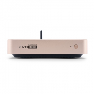 EVOBOX Plus караоке-система для дома в Ртищево