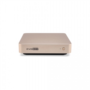 EVOBOX с микрофонами в Ртищево